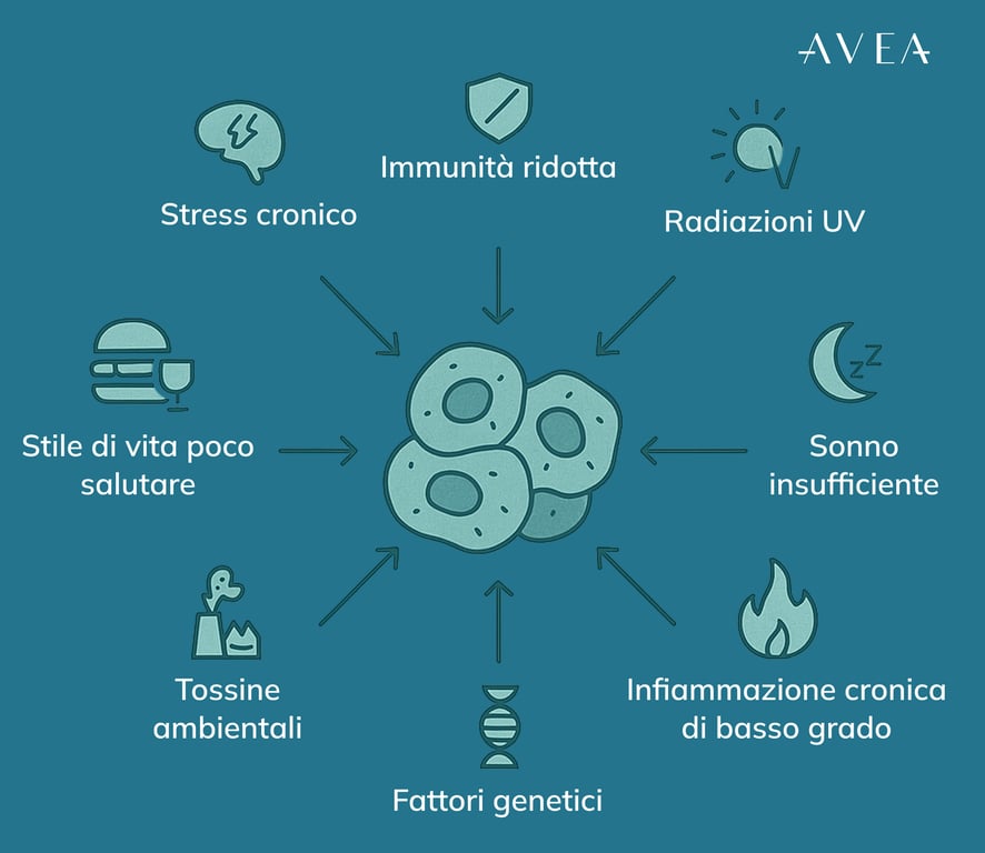 Cosa Causa l’Accumulazione delle Cellule Zombie?