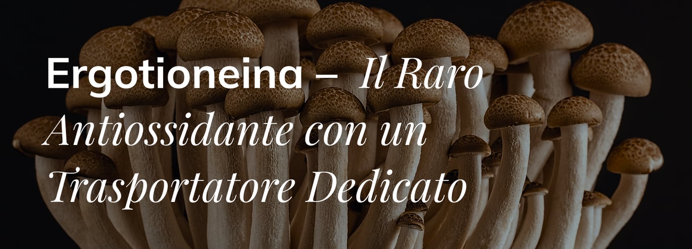 Ergotioneina
