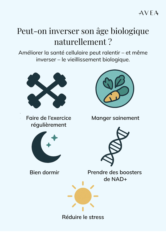 Peut-on inverser l'âge biologique de manière naturelle