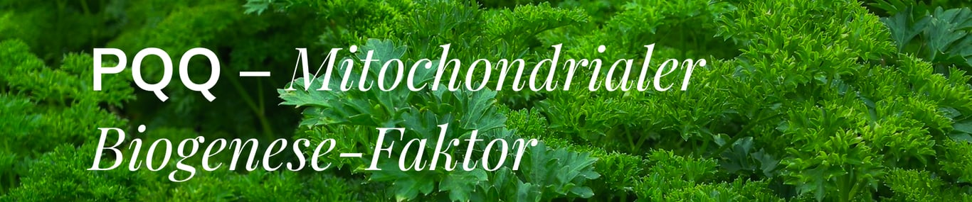 PQQ - Mitochondrial Biogenese Faktor