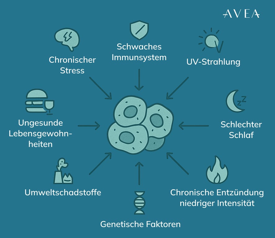 Warum sammeln sich Zombie-Zellen an?