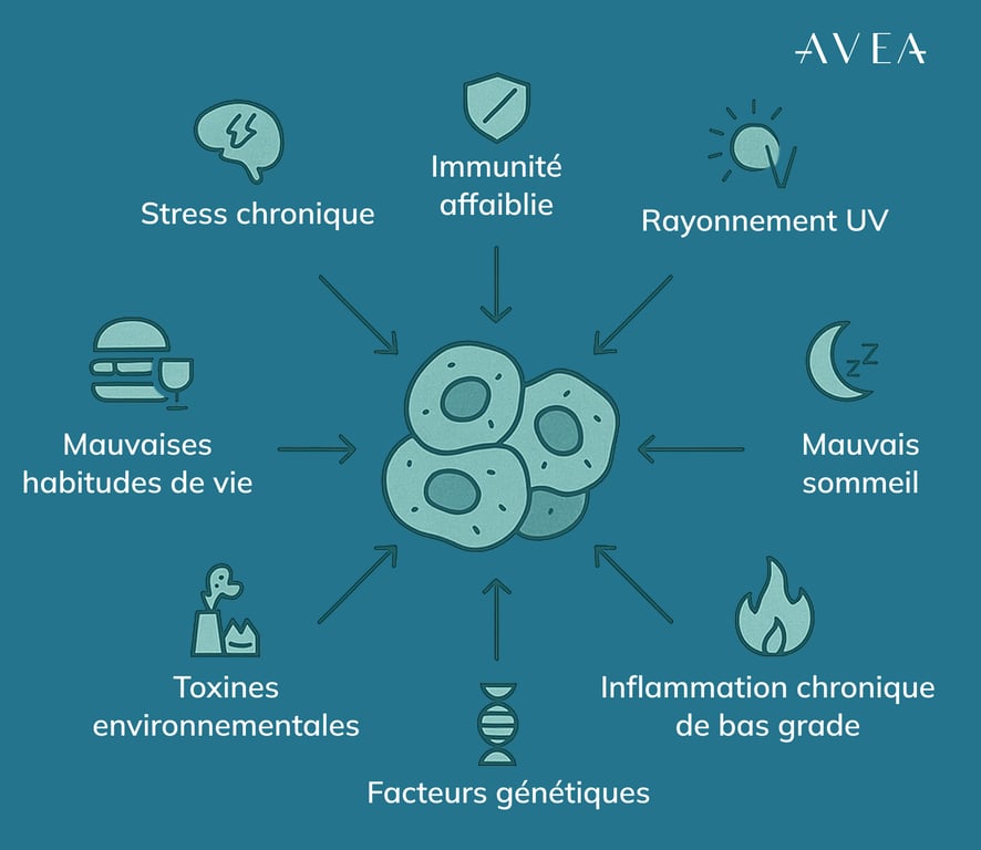 Qu'est-ce qui provoque l'accumulation de cellules zombies ?