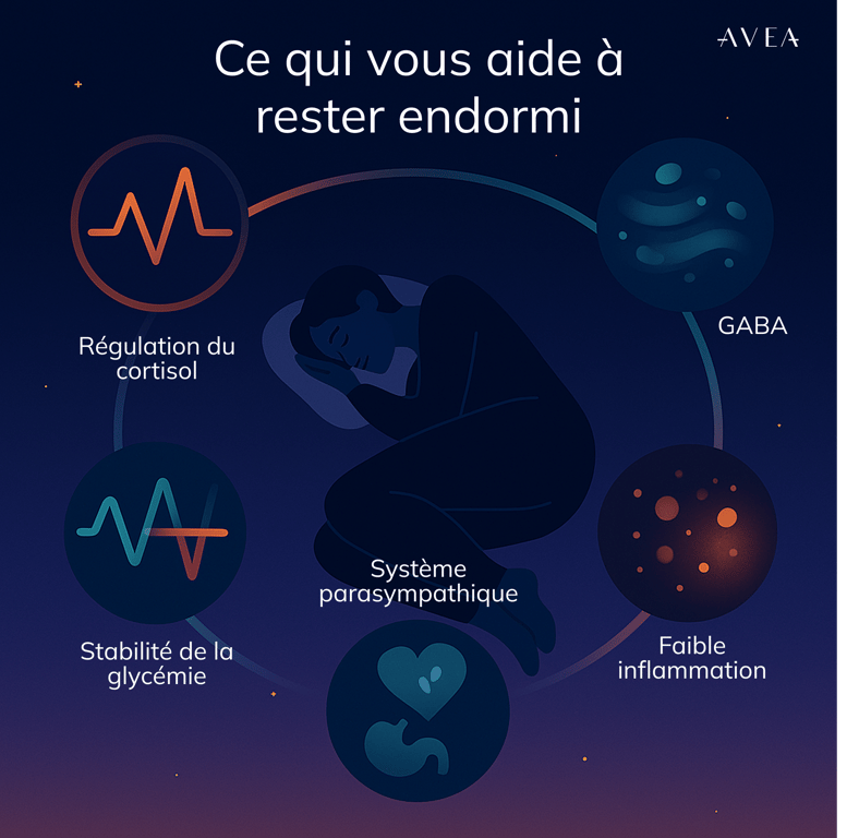 Ce qui vous aide à rester endormi