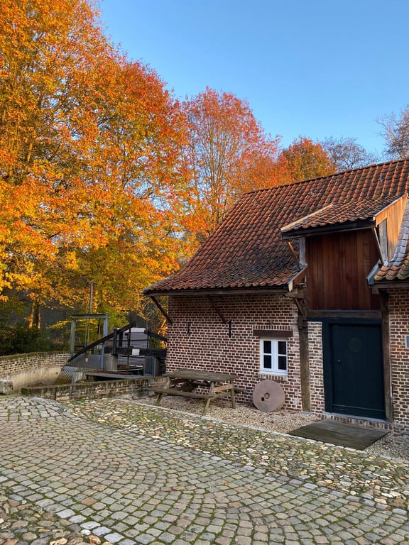 Watermolen — foto 22