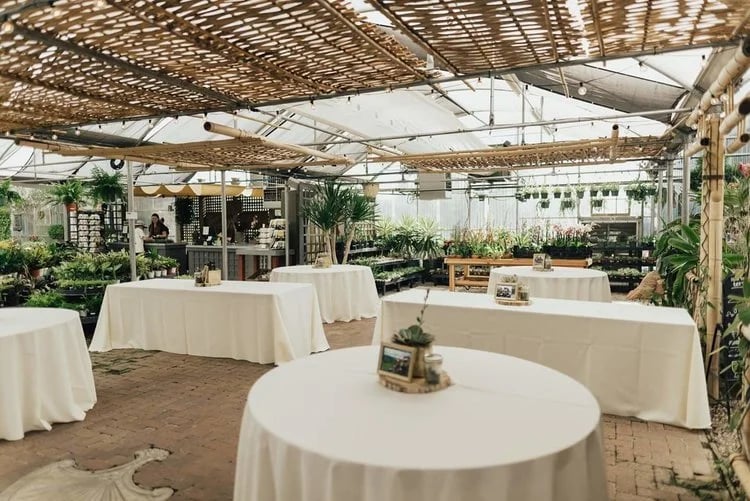 Cactus & Tropicals Salt Lake