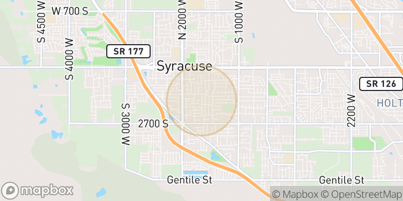Approximate map area near Syracuse