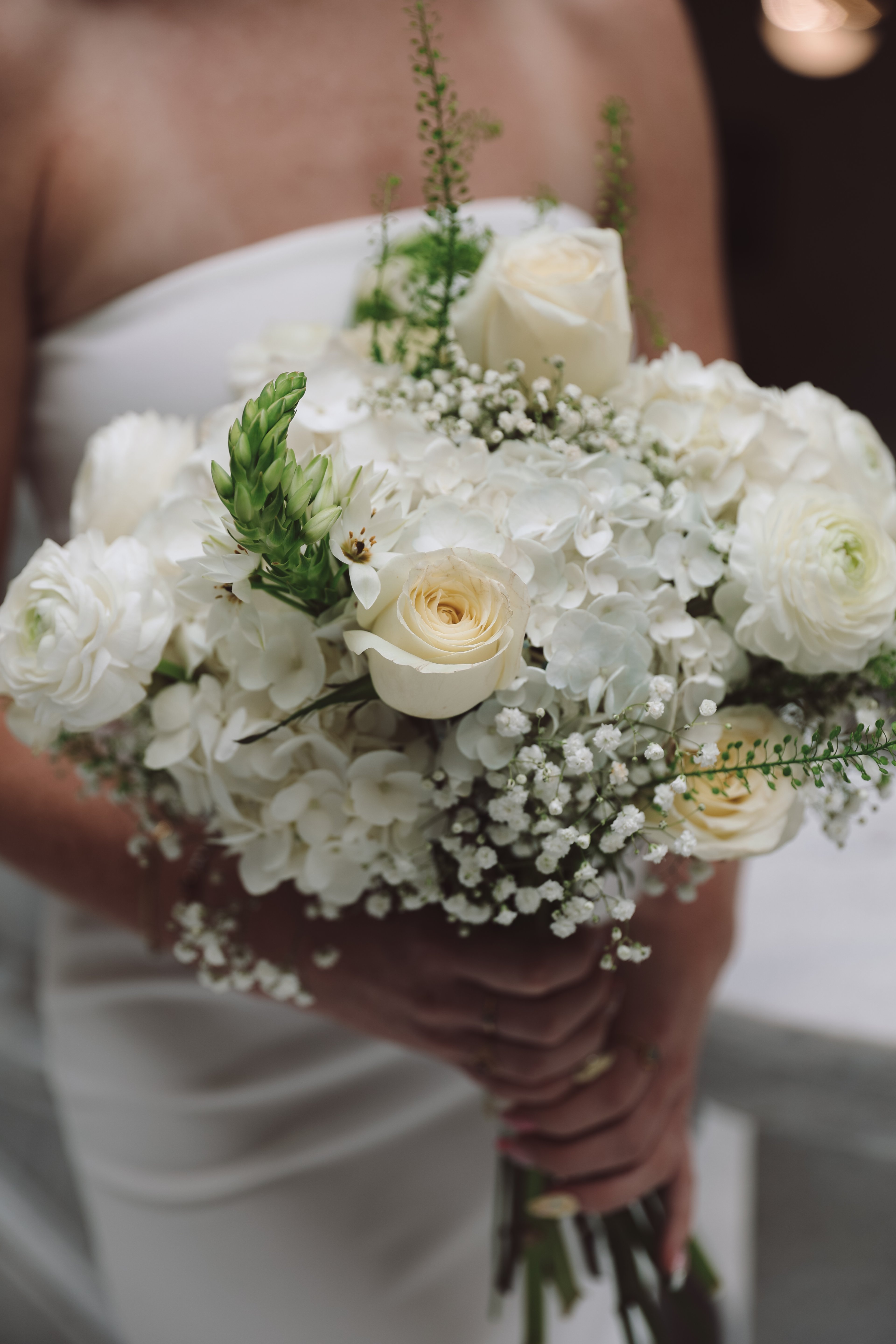 Velvet and Bloom Florals