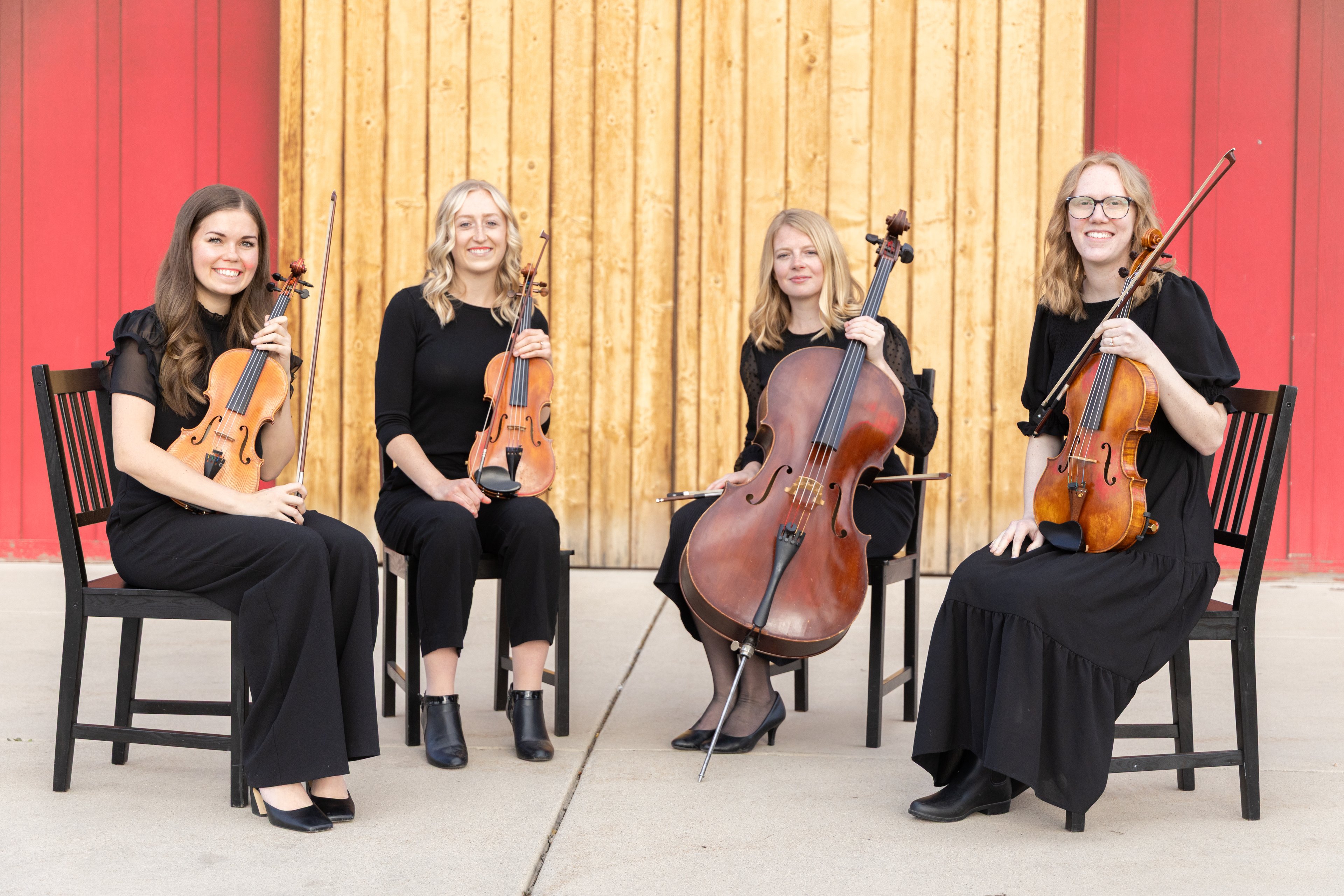 Souvenir Strings photo 5