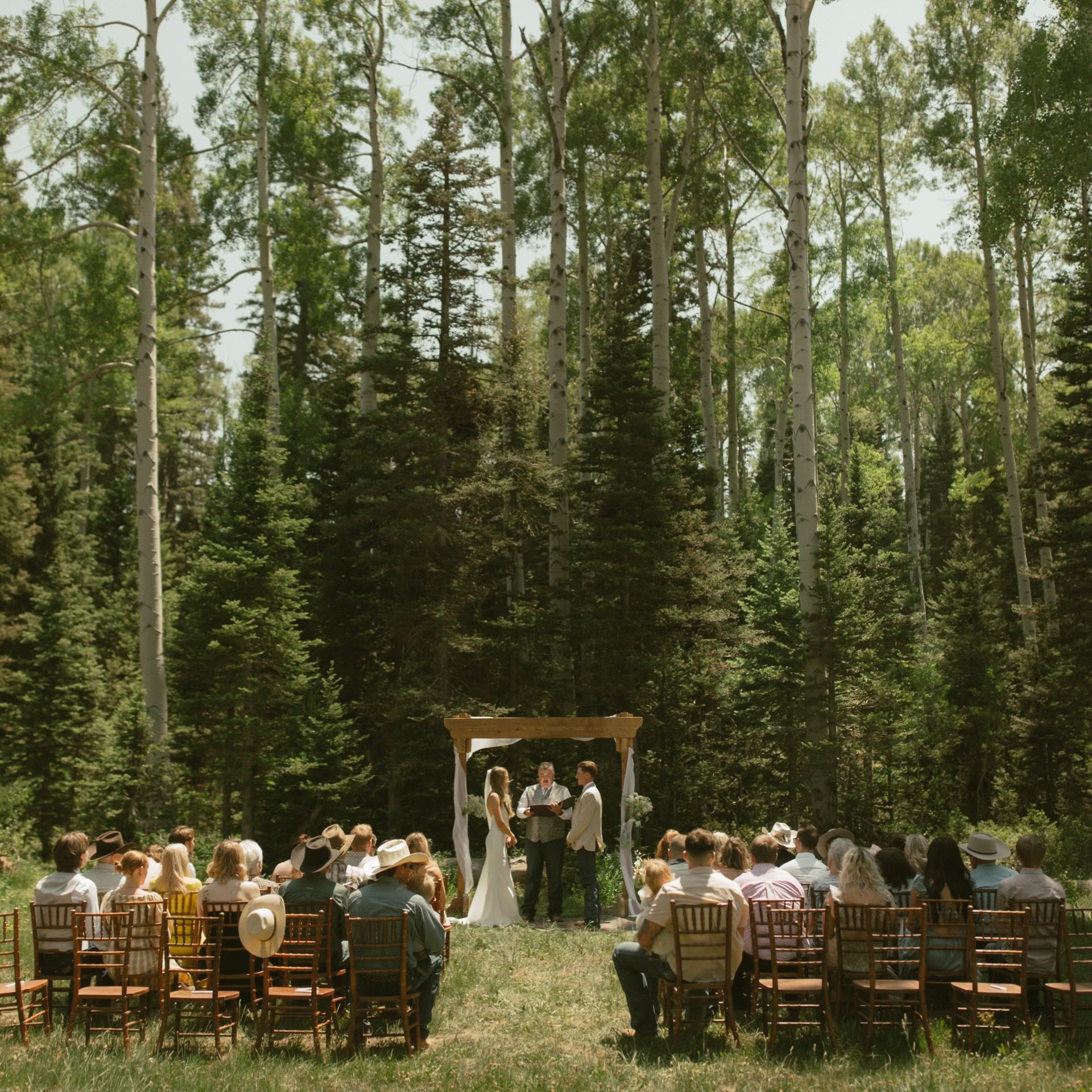 Milestone Moments  photo 2