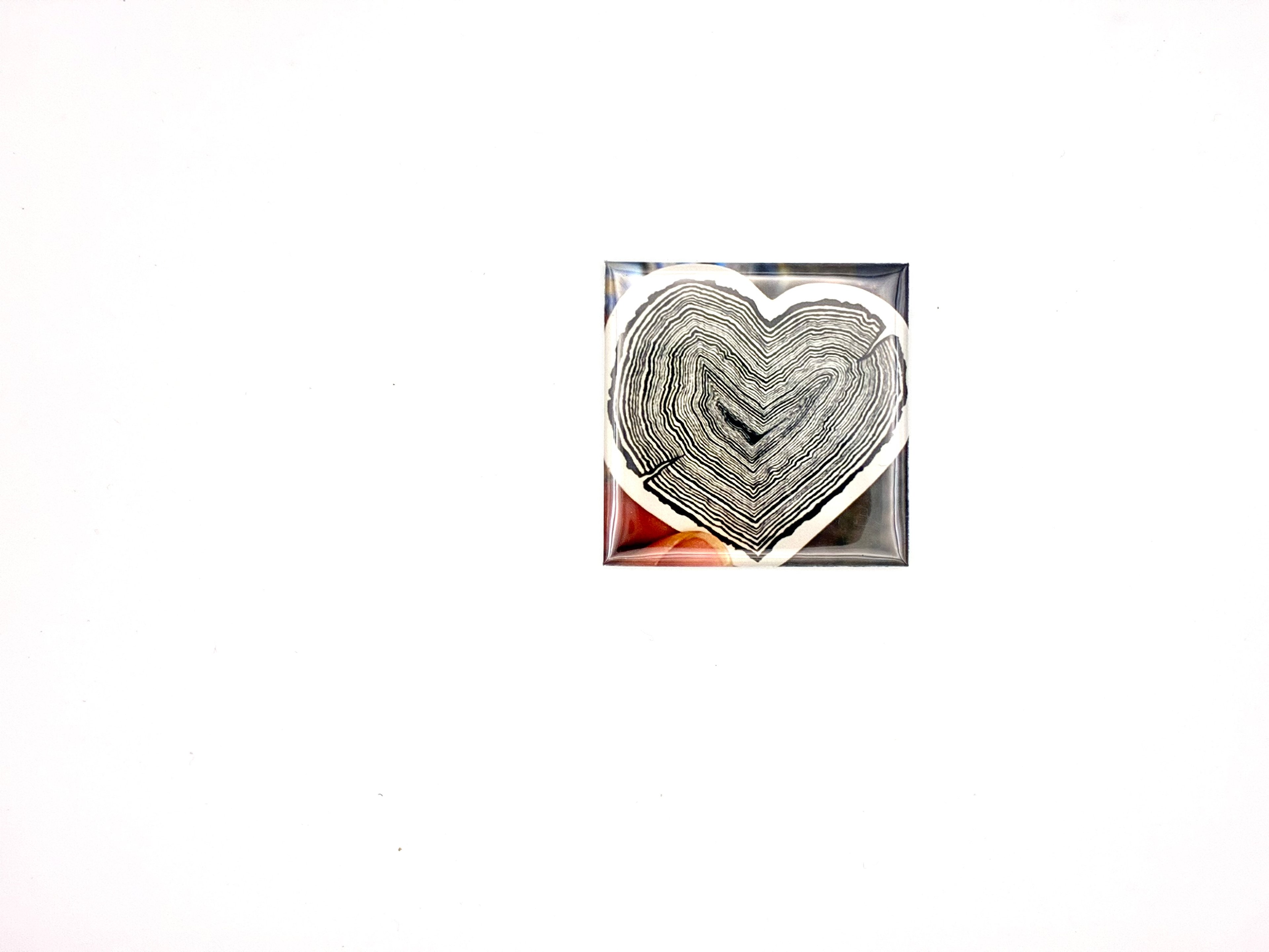 Magic Memories Magnets photo 3