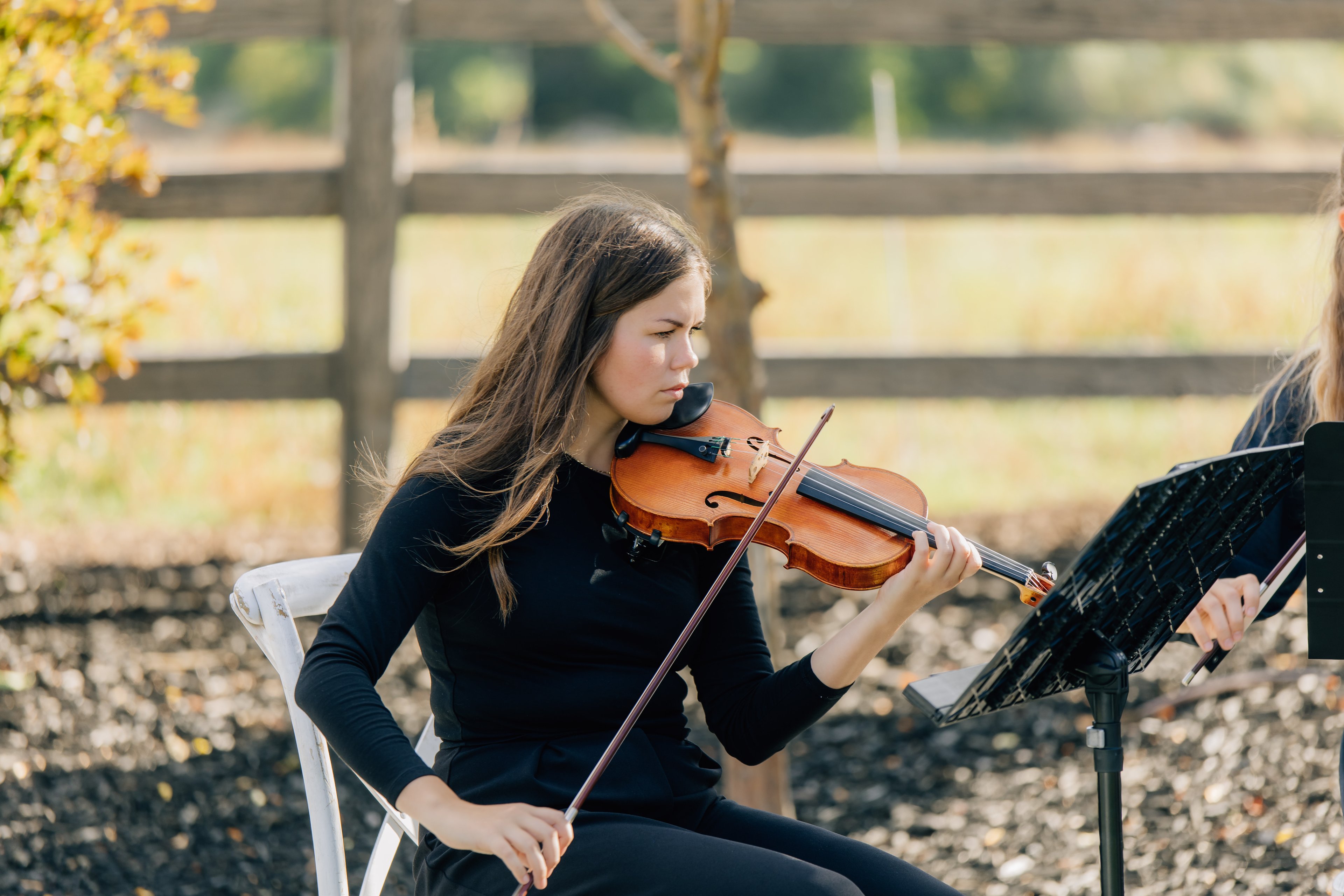 Souvenir Strings photo 3