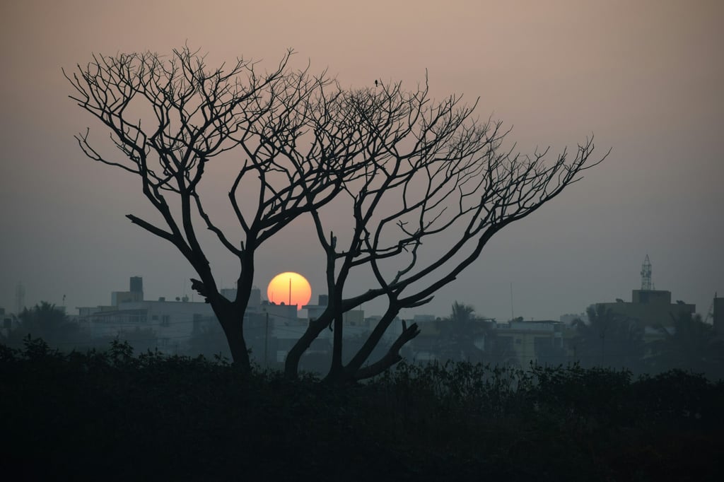 Life's seasons: timing and preparation