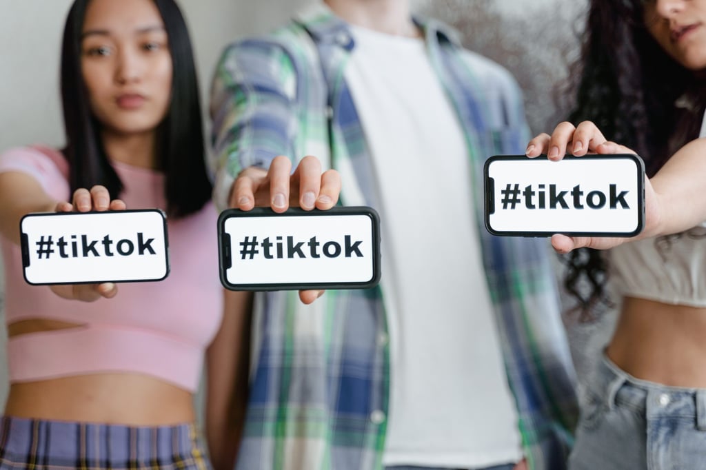 Article on using TikTok for business. It can help increase brand awareness, build a community around your product, and make meaningful sales.