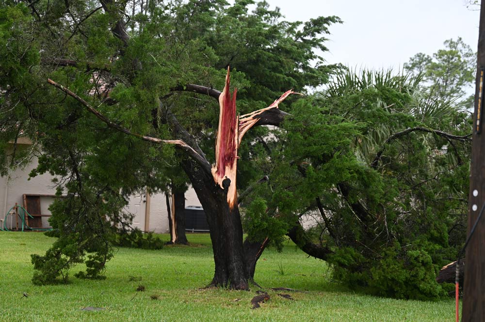 palm coast tornado