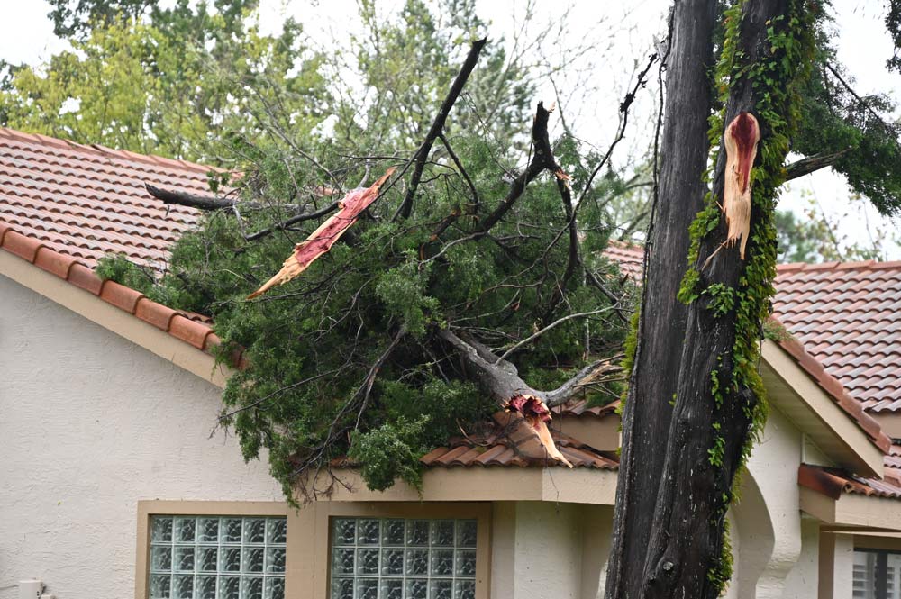 A house on Bayside Drive this morning. (© FlaglerLive)