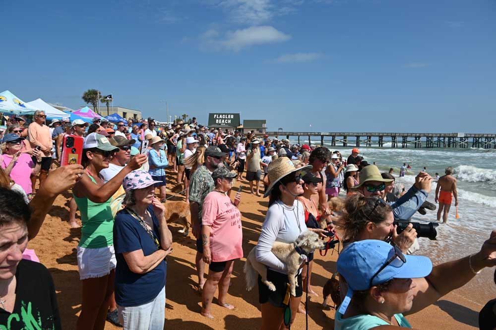 Brandishing Throngs, flagler beach hang 8 competition