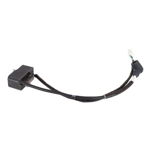 Ignition Module Assy