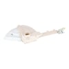 Hotpoint Washing Machine Detergent Drawer Cover - Image 8