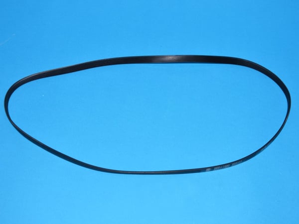 Ribbed Belt