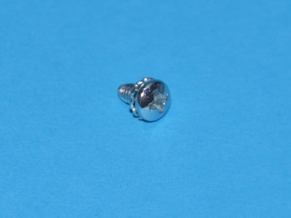 Screw