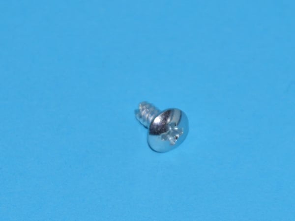 Screw