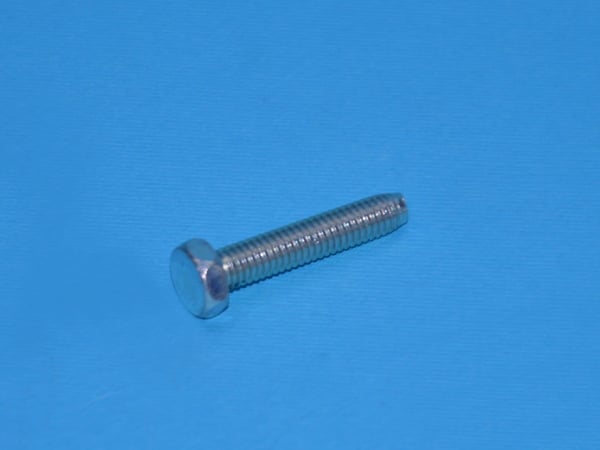 Screw