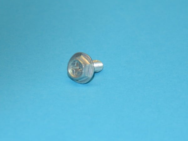 Screw