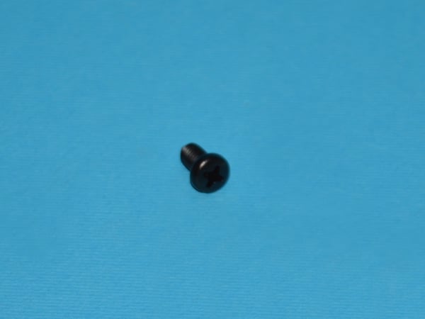 Screw