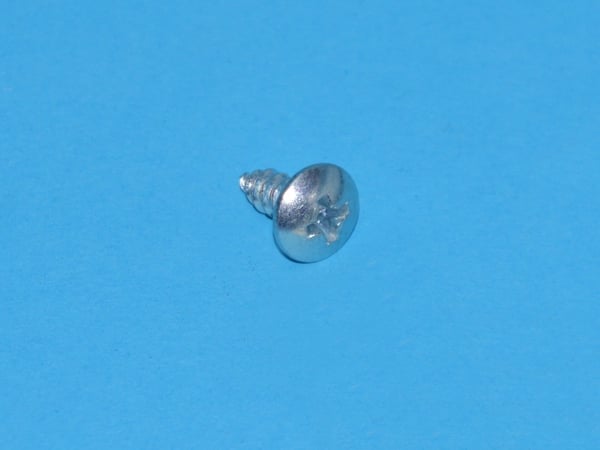 Screw