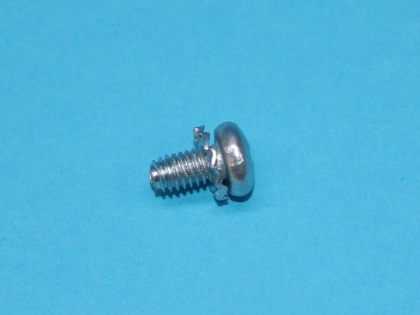 Screw