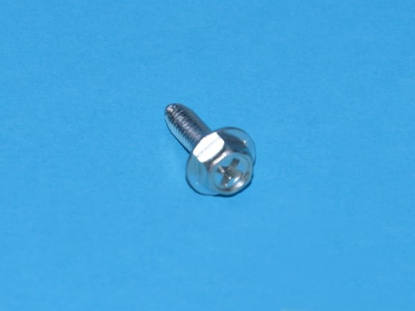 Screw