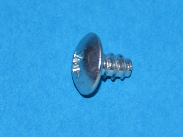 Screw