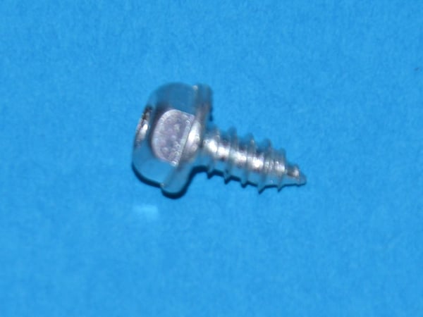 Screw