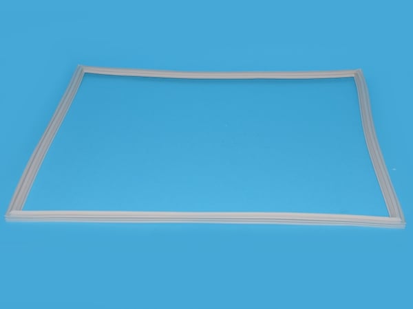 Magnetic Gasket
