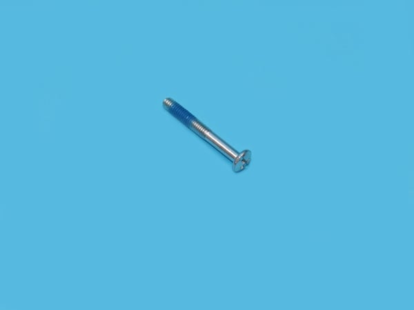 Screw