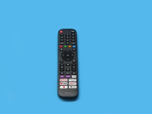 Remote Control EN2AL30H(0011)