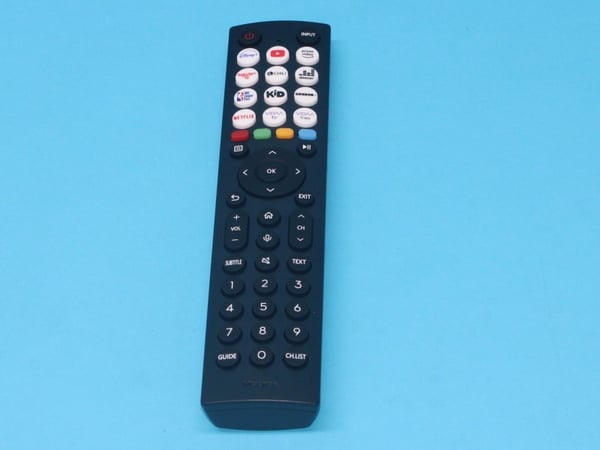 Remote Control ERF2M36H DE