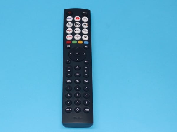 Remote Control ERF2J36H(0011) EU