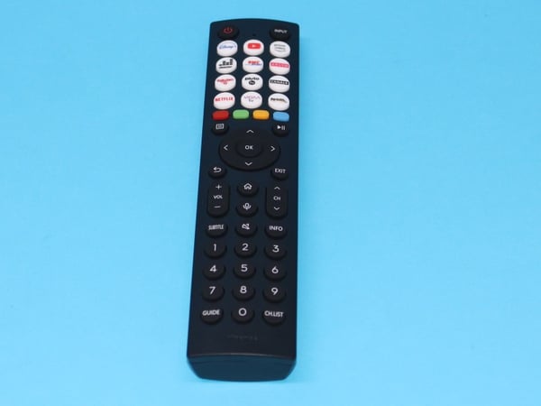 Remote Control ERF2L36H(0011) FR