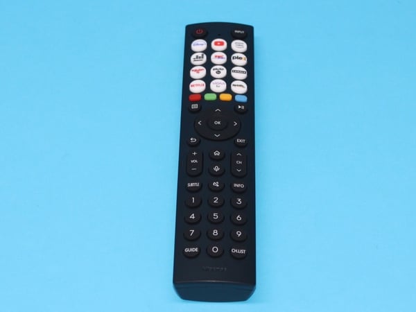 Remote Control ERF2L36H(0022) FR