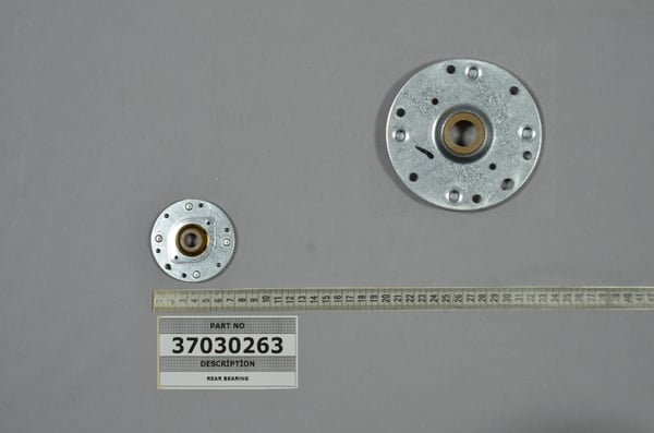 Rear Bearing