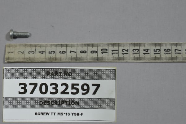 Screw Tt M516 Ysb-F