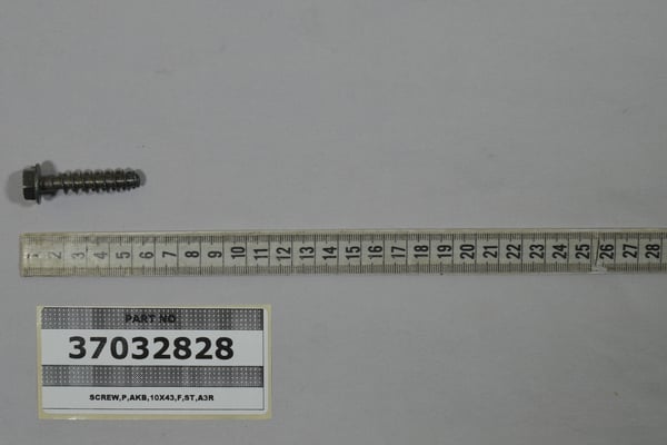 Screw,P,Rakb,10X43,F,St,A3R