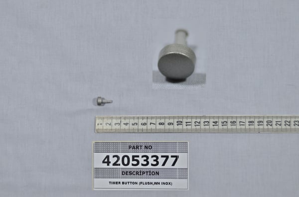 Timer Button (Flush,Wh Inox)