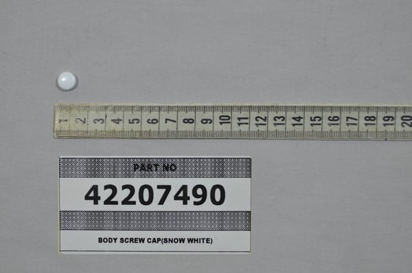 Body Screw Cap(Sw)