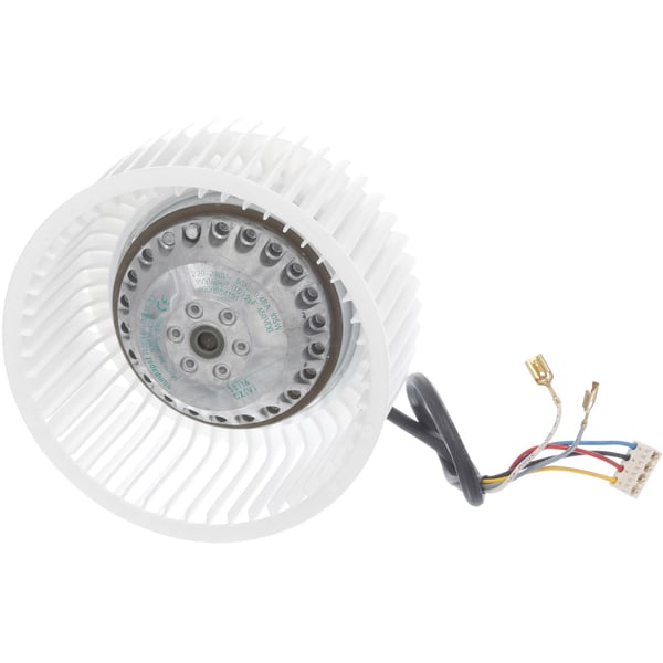 Fan motor