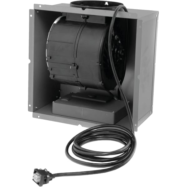 Fan motor