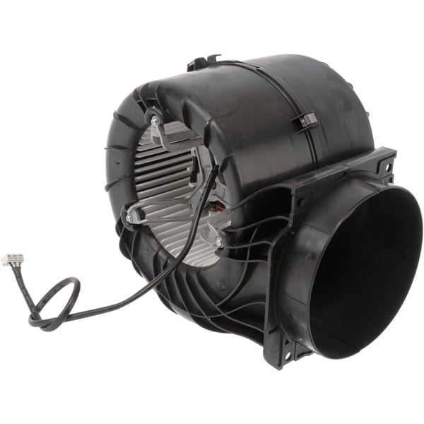 Fan motor