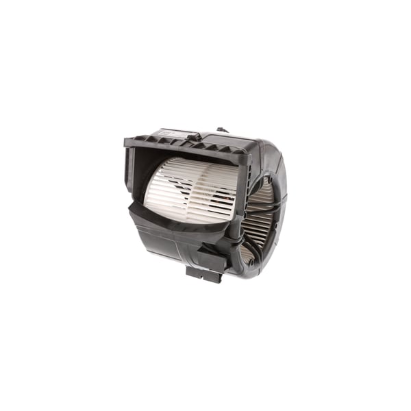Fan motor