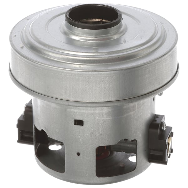 Blower motor